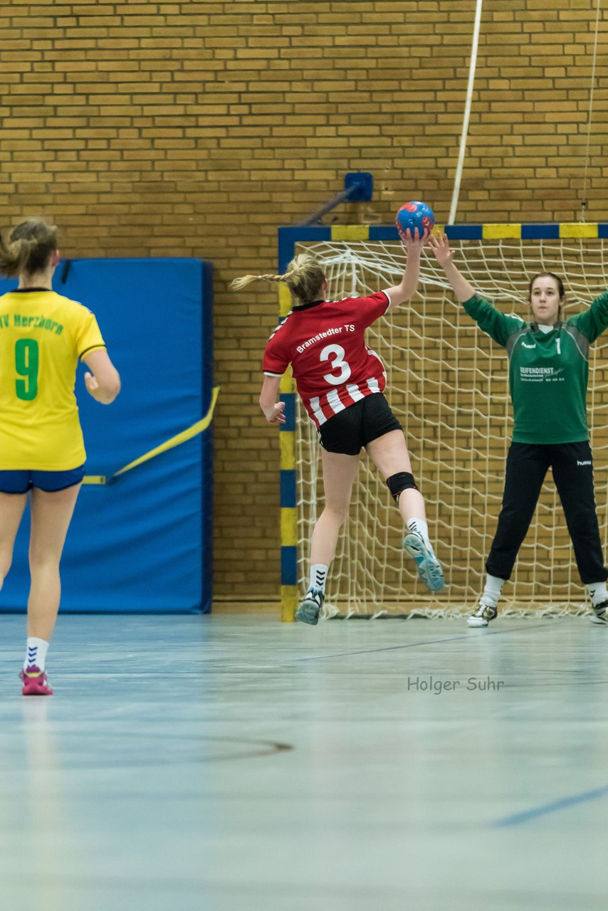 Bild 193 - A-Juniorinnen MTV Herzhorn - Bramstedter TS : Ergebnis: 32:32